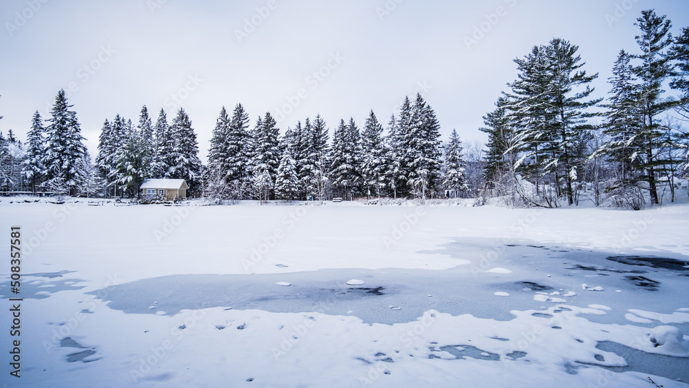 Obraz premium Frozen pond in the countryside near Tremblant ski resort on a cold and snowy winter day in Quebec (Canada)