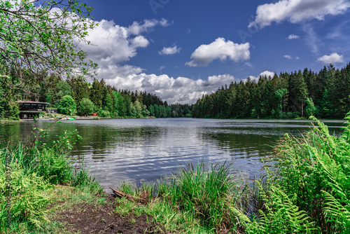 Kuttelbacher Teich im Harz