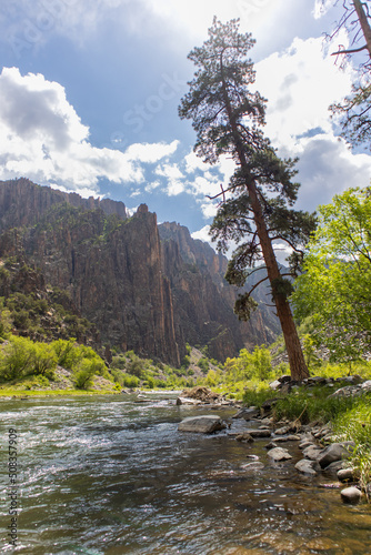 A view by the river at the bottom of Black Canyon National Park in Gunnison Colorado