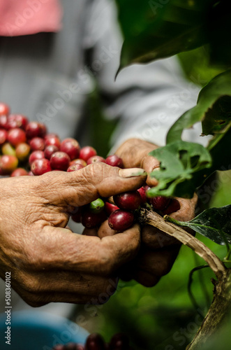 Colombia, sus colores y aromas