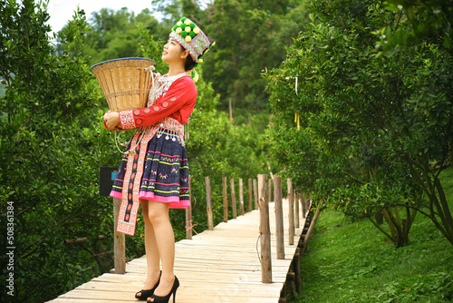 Tribal Farmer Farmer Harvesting Fruits Outdoor Background. photo