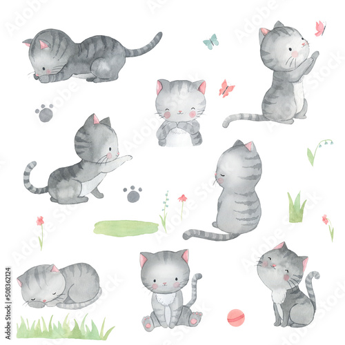 Watercolor cat. Kitten illustration for kids
