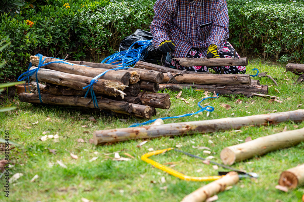 Naklejka premium A carpenter is cutting and constructing a large tree crutches.