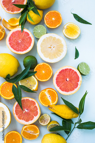 Fresh slices of different types of citrus  Orange  lime lemon Grapefruit