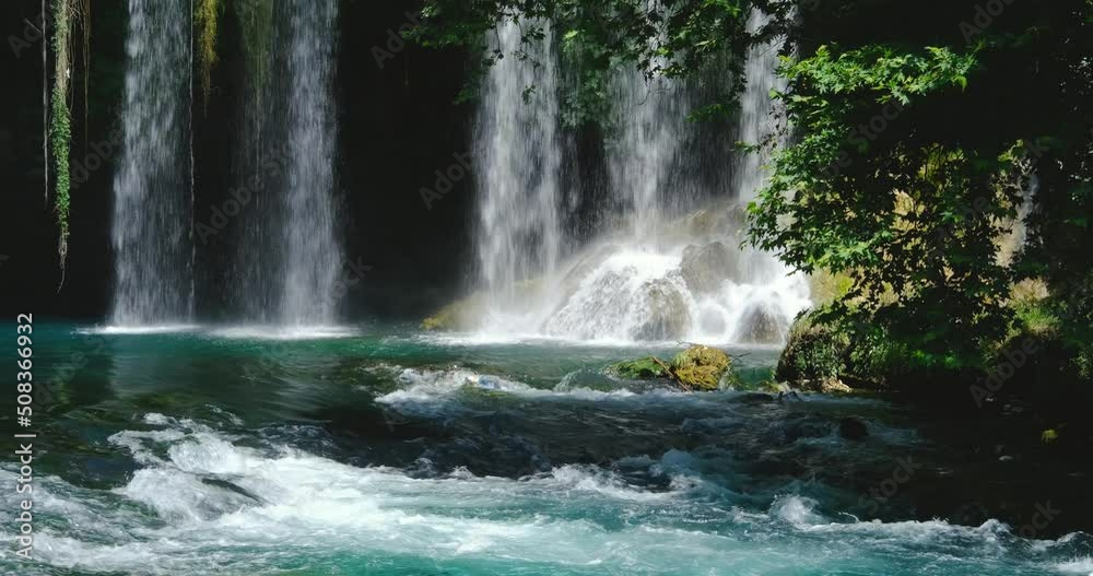 custom made wallpaper toronto digitalwaterfall in the forest