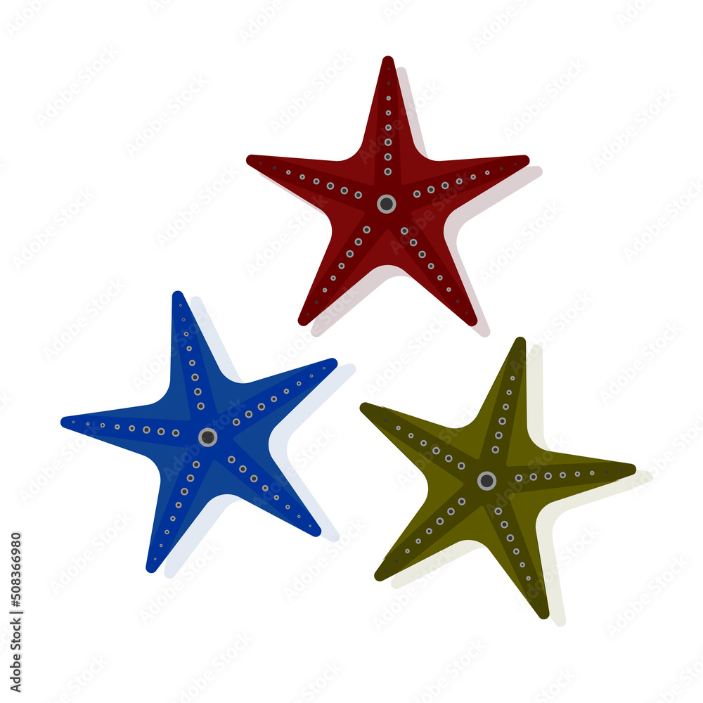 starfish are marine animals. Drawing of a vector illustration on a white background starfish are marine animals. Drawing of a vector illustration on a white background