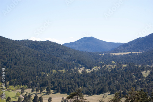 landscape with trees