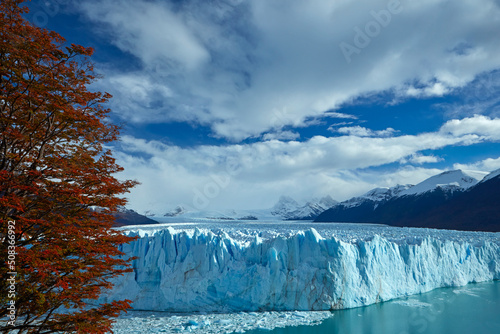 Perito Moreno Glacier, and lenga trees in autumn, Parque Nacional Los Glaciares (World Heritage Area), Patagonia, Argentina, South America © David