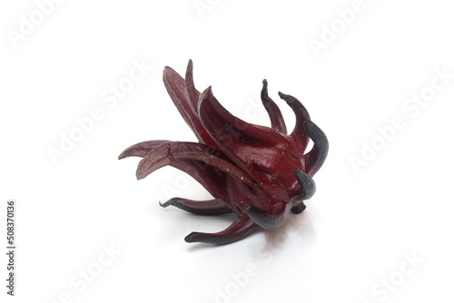 a few dark red roselle hibiscus on white background © Terence