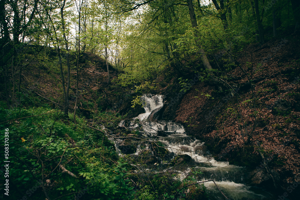small beautiful river in the forest small beautiful river in the forest