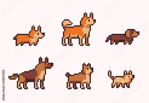 Pure breed dogs pixel art set. Different types of canine collection. 8 bit sprite. Game development, mobile app.  Isolated vector illustration.