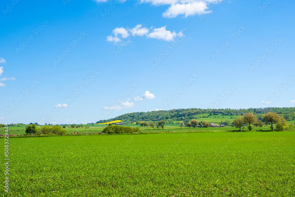 Gravel road at the fields to the horizon Gravel road at the fields to the horizon