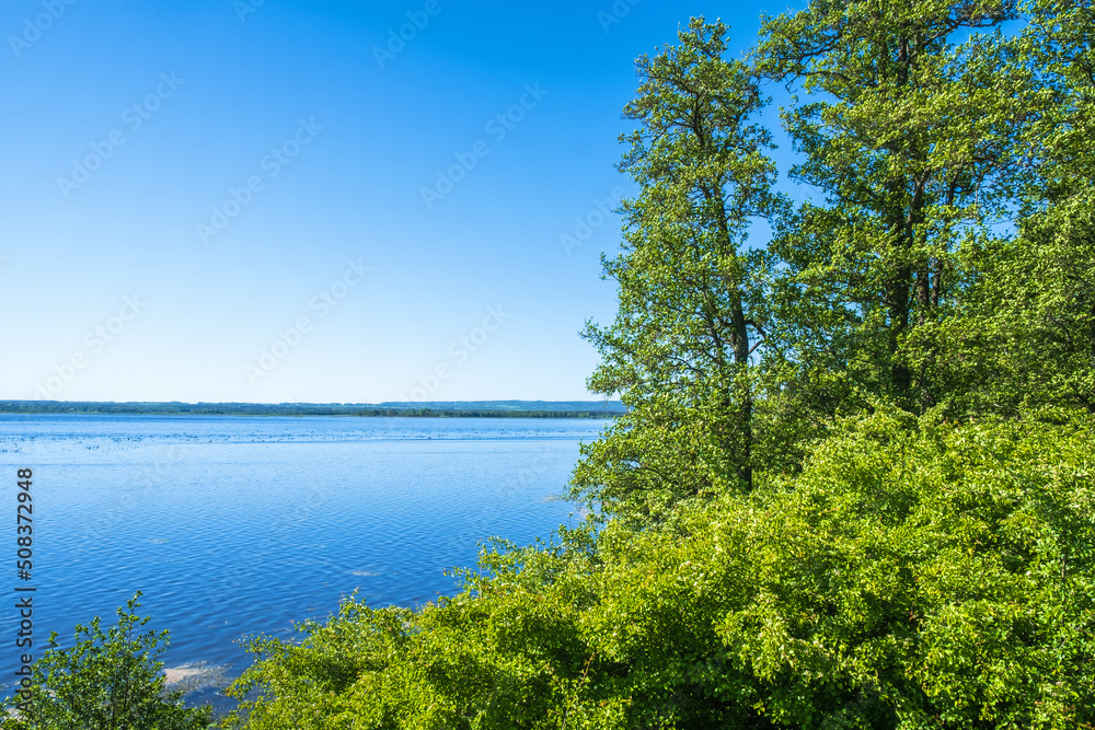 Beautiful view of a lake in the summer by a deciduous forest Beautiful view of a lake in the summer by a deciduous forest