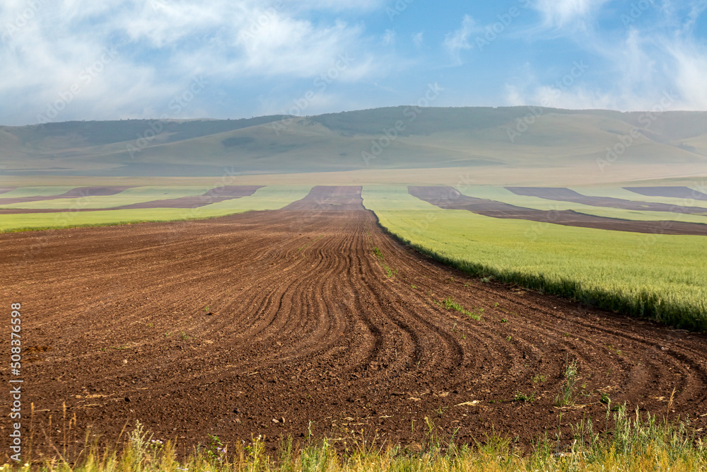 View of a plowed field prepared for planting crops. Plowed land with rows of furrows.