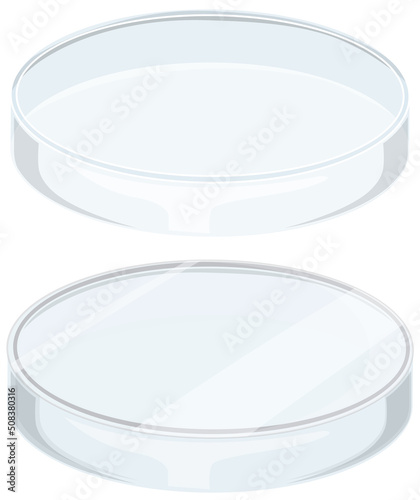 Glass petri dish on white background