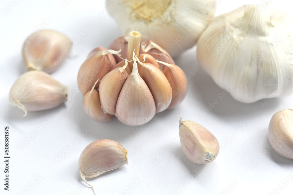 garlic bulbs and garlic cloves on white background. close-up. Organic garlic top view. Concept of spices for healthy cooking.