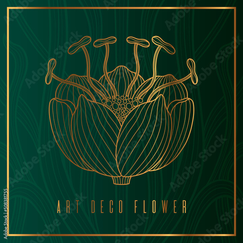 Art nouveau style flower plant basic element. 1920-1930 years vintage design. Symbol motif design.