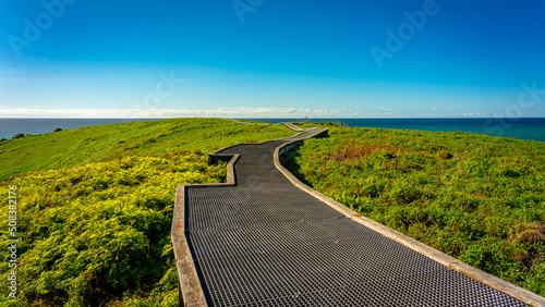 Walking track on top of the Muttonbird Island Nature Reserve in Coffs Harbour, NSW, Australia  photo