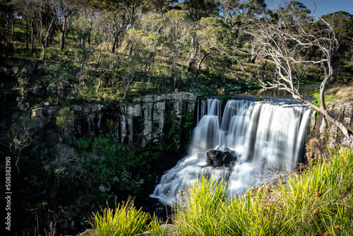 Fototapeta Naklejka Na Ścianę i Meble -  Ebor Falls in Ebor, NSW, Australia