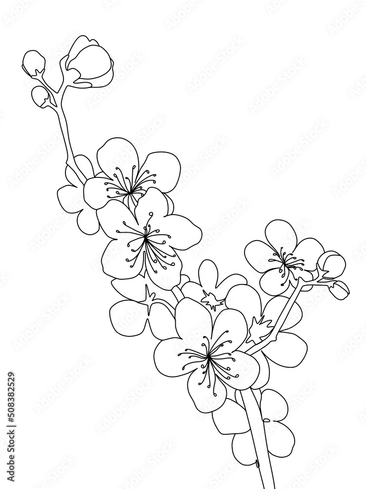 A plant is drawn in one line art style. Printable art.