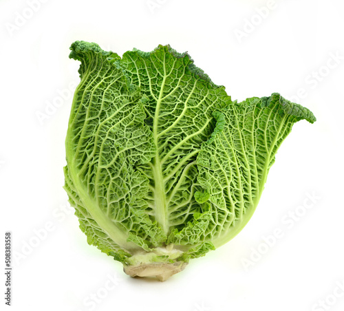 Leaf of fresh savoy cabbage isolated on white. kale leaf.