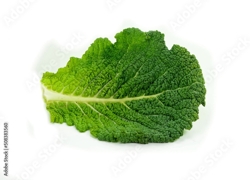 Leaf of fresh savoy cabbage isolated on white. kale leaf.