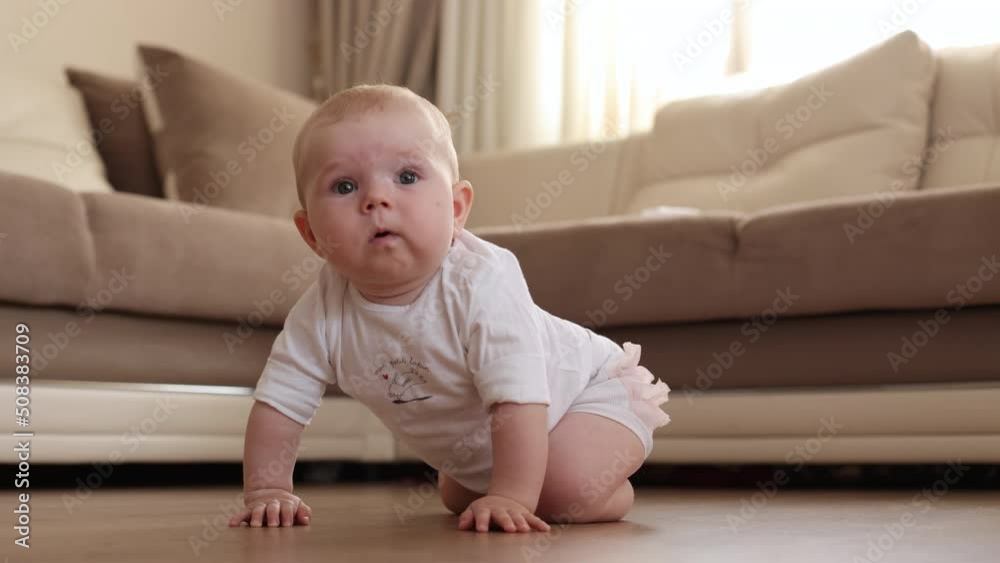 Curious adorable little baby girl crawling and learning for the first time on white home background Curious adorable little baby girl crawling and learning for the first time on white home background