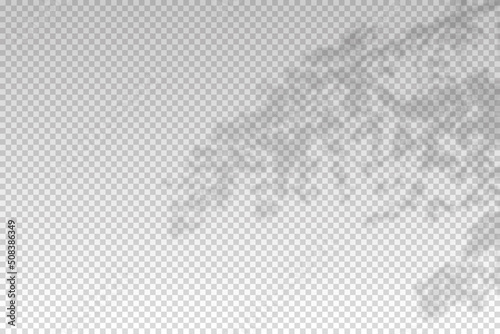 Shadow of leaf from window. Leaves shadow isolated on transparent background. Sunlight trees for effect overlay. Plants shades. Natural foliage for summer mockup. Indoor flowers. Vector illustration