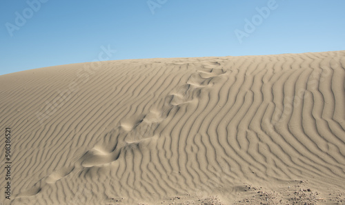 Sand dunes againt blue sky. Desert dry coast land Cyprus
