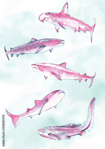 Different sharks printable poster A1 size. Ocean animals and sea life illustrations. Watercolor painting. Hammerhead shark, leopard shark, tiger and whale sharks. Sea wild life.  Nautical wall art