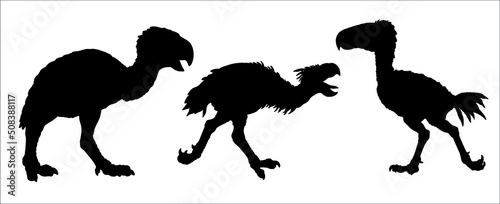 Prehistoric birds of prey. Kelenken, titanis and gastornis. Silhouette vector drawing with extinct predators terror birds.	