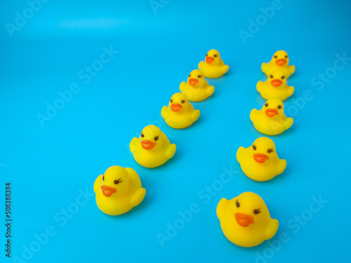 Group of toy ducks. Leadder and teamwork concept
