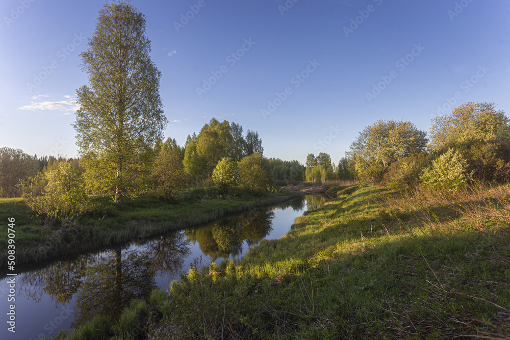 A beautiful and picturesque river with a forest lit by the sun
