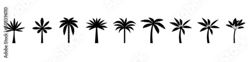 Palm tree icon vector set. beach illustration sign collection. botanical symbol. aloha logo. © Denys