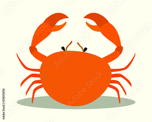 sea ​​crab vector illustration. Often consumed as seafood.