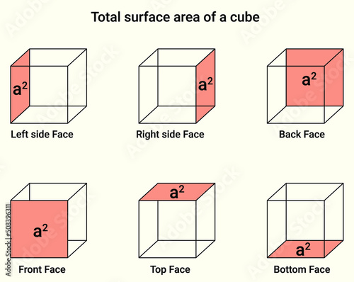 Total surface area of a cube 