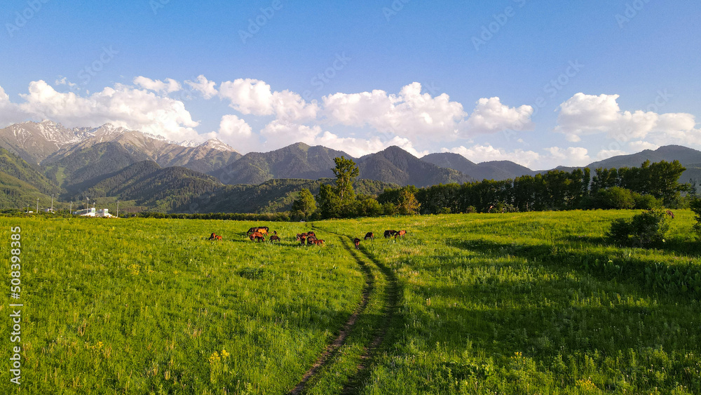 landscape with horses and mountains
