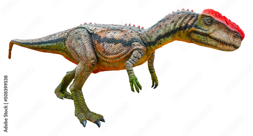 Obraz premium Monolophosaurus is a carnivore genus of tetanuran theropod dinosaurs from the Middle Jurassic. Monolophosaurus is isolated on a white background with a clipping path.
