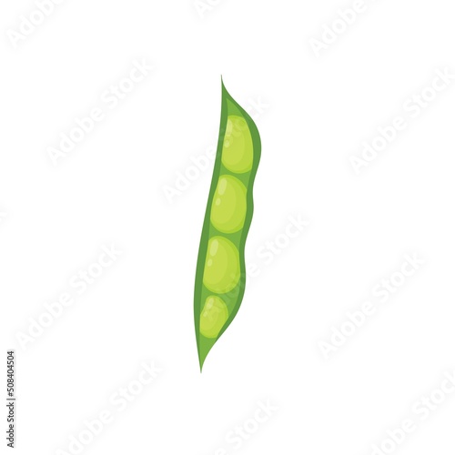 Pod of green beans isolated element. Healthy food print for farm market menu and recipes. Vector illustration