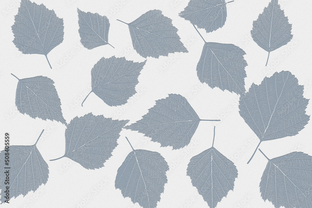 BIRCH - Leaves of spring and summer