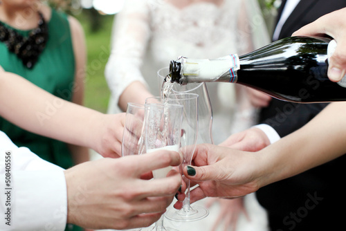 Celebration. Hands holding the glasses of champagne and wine making a toast. The party, wedding, celebration, alcohol, lifestyle, friendship, holiday, christmas, new, year and clinking concept.