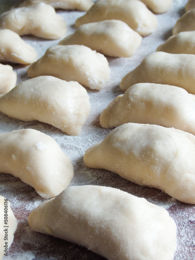 cooking. Dumplings with cheese. Ready for cooking dumplings with cottage cheese. cooking. Dumplings with cheese. Ready for cooking dumplings with cottage cheese.