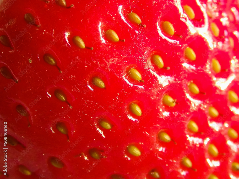Red ripe strawberries close up. Background of red strawberry in macro Red ripe strawberries close up. Background of red strawberry in macro