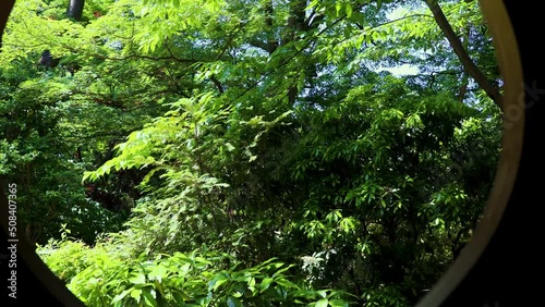 丸窓から見える初夏の日本庭園
