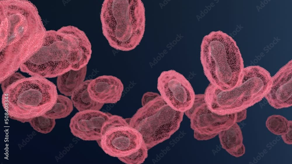 Pox, monkeypox, smallpox or poxviridae virus flow loop, 3d animation