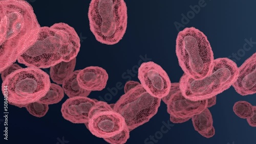 Pox, monkeypox, smallpox or poxviridae virus flow loop, 3d animation photo