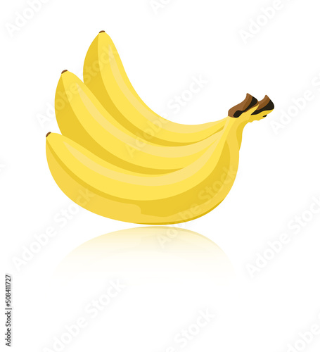 Vector illustration of bananas isolated on white background. With reflection.