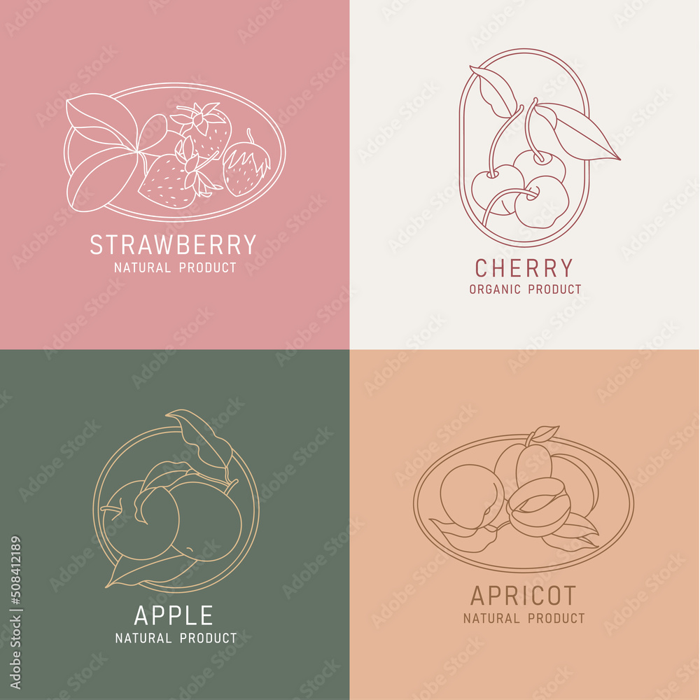 Vector illustration fruits and berries - vintage minimalist style. Logos set composition in retro botanical style.
