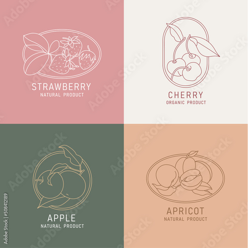 Vector illustration fruits and berries - vintage minimalist style. Logos set composition in retro botanical style.