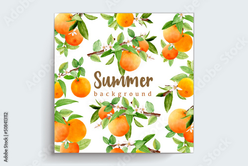 hand drawn watercolor orange fruit frame and wreath design